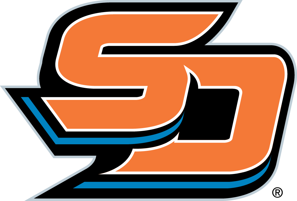San Diego Gulls 2015-Pres Secondary Logo iron on transfers for clothing